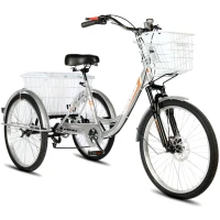 Электровелосипед РВЗ Чемпион 250W 10Ah серебро